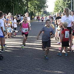 ddot-2018: afbeelding 21