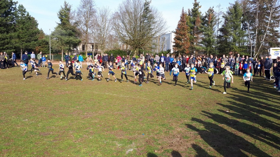 ARAC-atleten lopen veldloop in zonnig Lommel