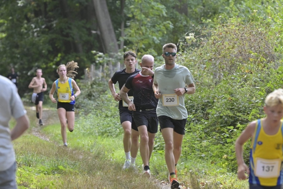 Pierenloop slaat editie 2026 over, maar kijkt vooruit naar de toekomst
