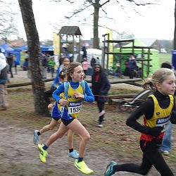 Aanvullend fotoverslag JEUGD PK veldlopen ARAC: afbeelding 117