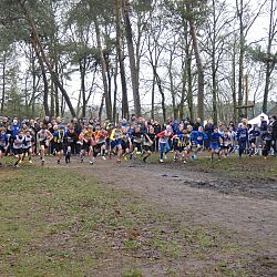 Aanvullend fotoverslag JEUGD PK veldlopen ARAC: afbeelding 137