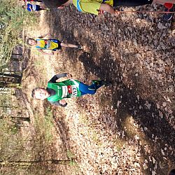 ARAC-atleten lopen veldloop in zonnig Lommel: afbeelding 6