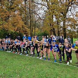 Fotoreportage veldloop in Pelt: afbeelding 2