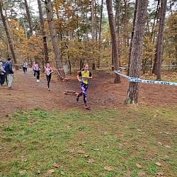 Fotoreportage veldloop in Pelt: afbeelding 3