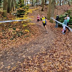 Fotoreportage veldloop in Pelt: afbeelding 6