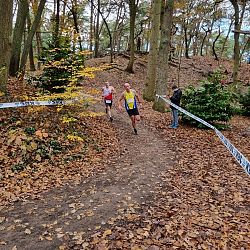 Fotoreportage veldloop in Pelt: afbeelding 8