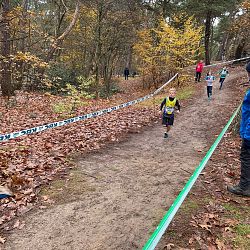 Fotoreportage veldloop in Pelt: afbeelding 18