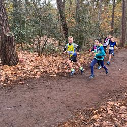 Fotoreportage veldloop in Pelt: afbeelding 19