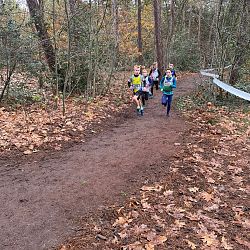 Fotoreportage veldloop in Pelt: afbeelding 20