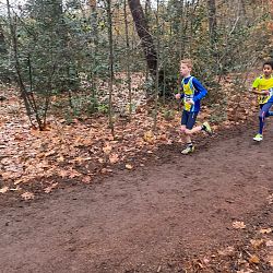 Fotoreportage veldloop in Pelt: afbeelding 21