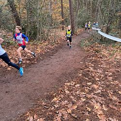 Fotoreportage veldloop in Pelt: afbeelding 23