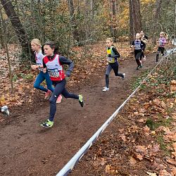 Fotoreportage veldloop in Pelt: afbeelding 27