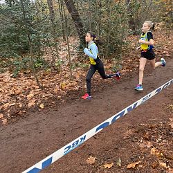 Fotoreportage veldloop in Pelt: afbeelding 28