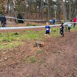 Fotoreportage veldloop in Pelt: afbeelding 30