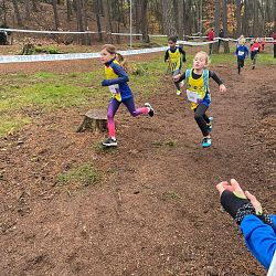 Fotoreportage veldloop in Pelt: afbeelding 33