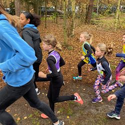 Fotoreportage veldloop in Pelt: afbeelding 34