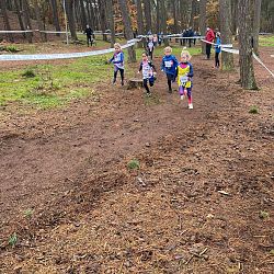 Fotoreportage veldloop in Pelt: afbeelding 35