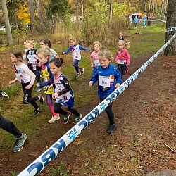 Fotoreportage veldloop in Pelt: afbeelding 36