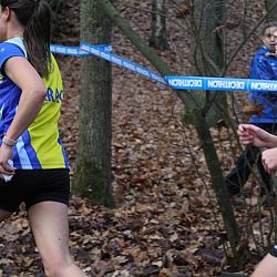 Fotoreportage veldloop in Pelt: afbeelding 41