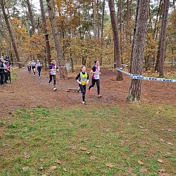 Fotoreportage veldloop in Pelt: afbeelding 1