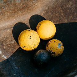 Foto's familiedag: afbeelding 424
