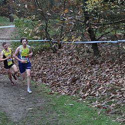 Verslag en foto's veldloop Neerpelt zondag 17 november 2019: afbeelding 16