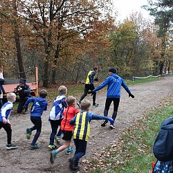 450 atleten starten op veldloop ARAC in het Kongobos: afbeelding 13