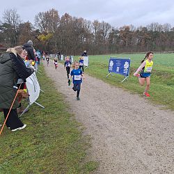Wedstrijdverslag ARAC Veldloop 2025: afbeelding 47