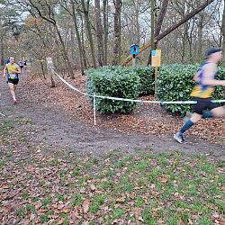 Wedstrijdverslag ARAC Veldloop 2025: afbeelding 73