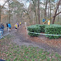 Wedstrijdverslag ARAC Veldloop 2025: afbeelding 80