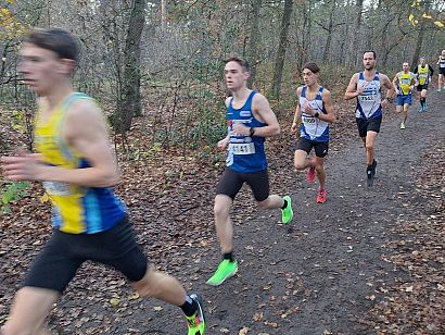 Wedstrijdverslag ARAC Veldloop 2025: afbeelding